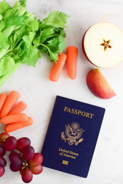 The Best Travel Snacks and Healthy Hacks for Staying Healthy While Traveling_Natalie Paramore