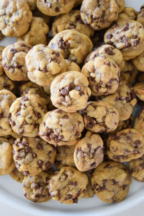 Best Tiny Chocolate Chip Cookies_Natalie Paramore