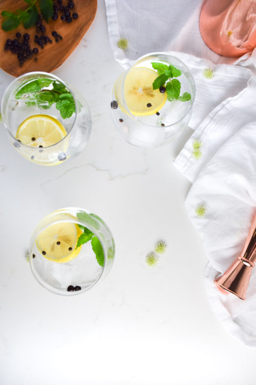 Photo of two glasses with clear liquid and ice cubes, lemon slice, mint sprig and peppercorns on a white surface