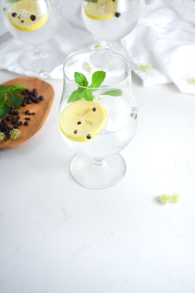 Photo of glass with clear liquid and ice cubes, lemon slice, mint sprig and peppercorns on a white surface
