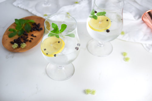 Photo of two glasses with clear liquid and ice cubes, lemon slice, mint sprig and peppercorns on a white surface